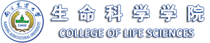 红足1世足球网